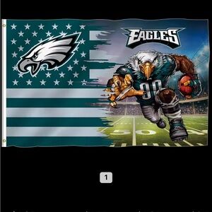 NFL Philadelphia Eagles Flag - Green and White